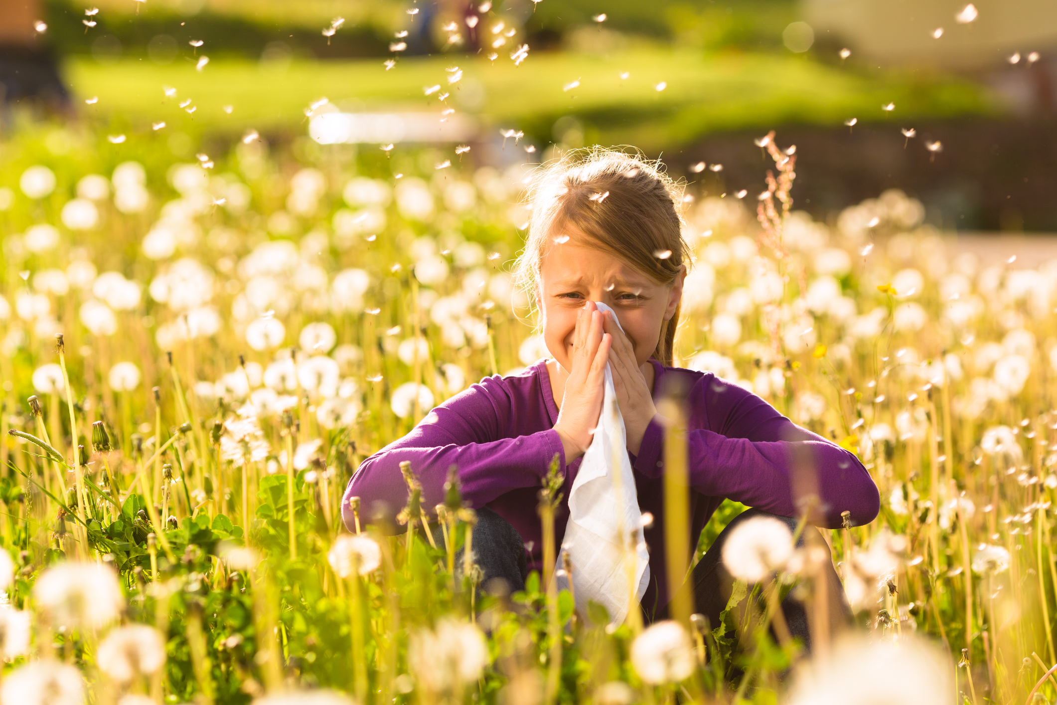 6 Tips to Eliminate Allergies