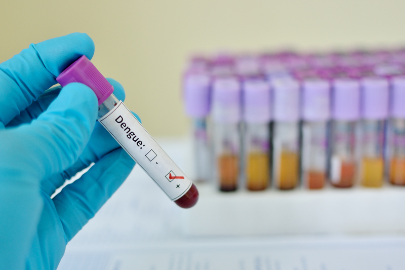 Dengue positive