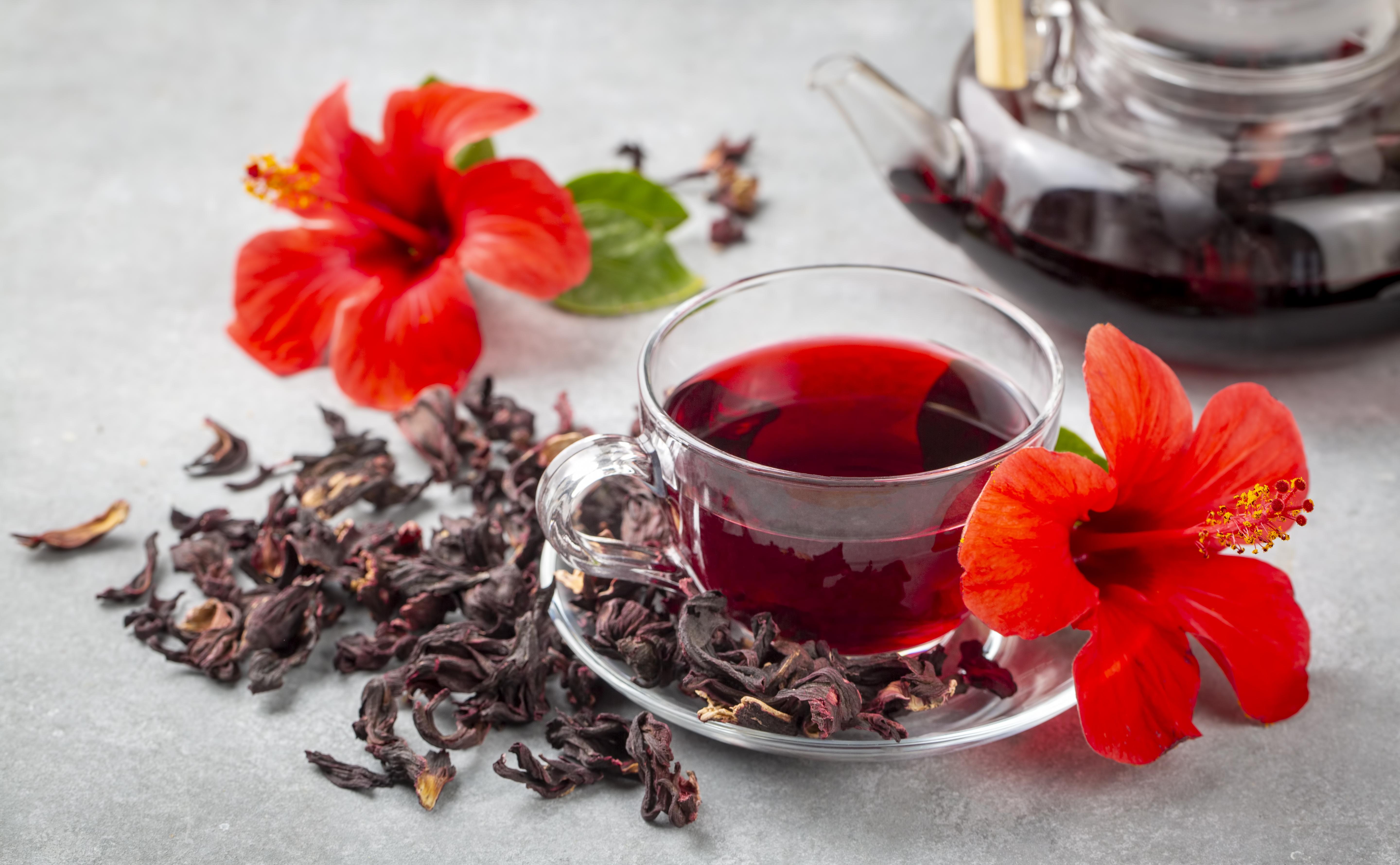 Discovering the Power of Healing Foods for Heart Support