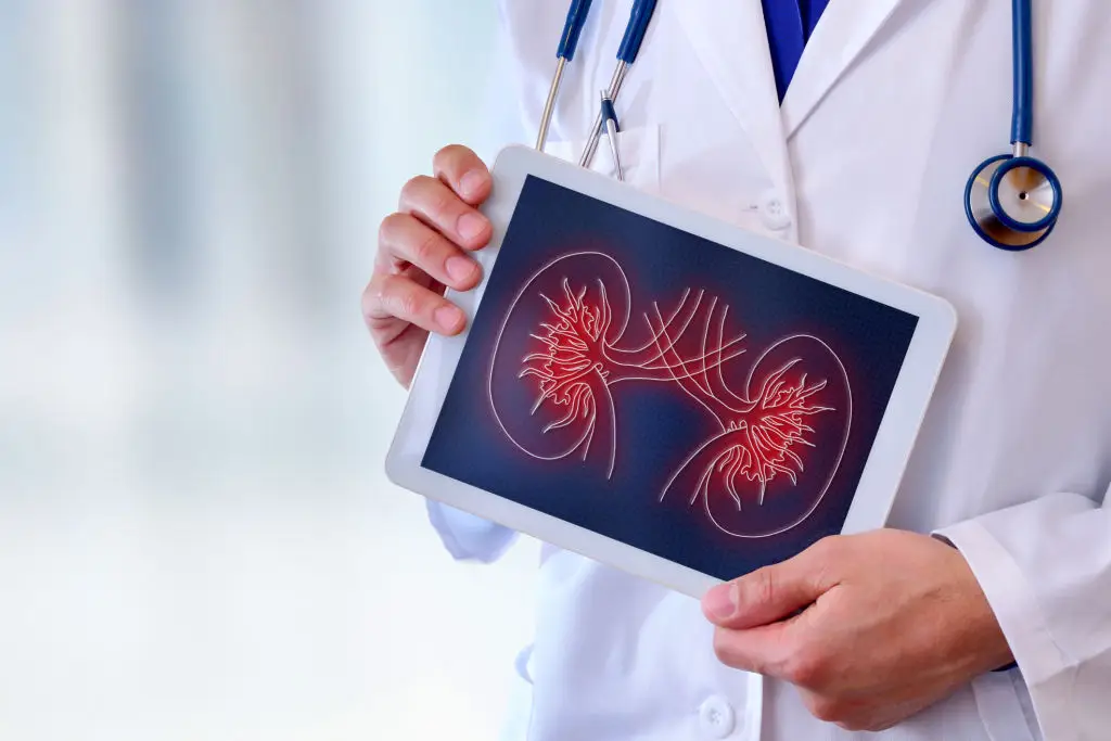 Subtle Clues Your Body is Sending You About Kidney Health