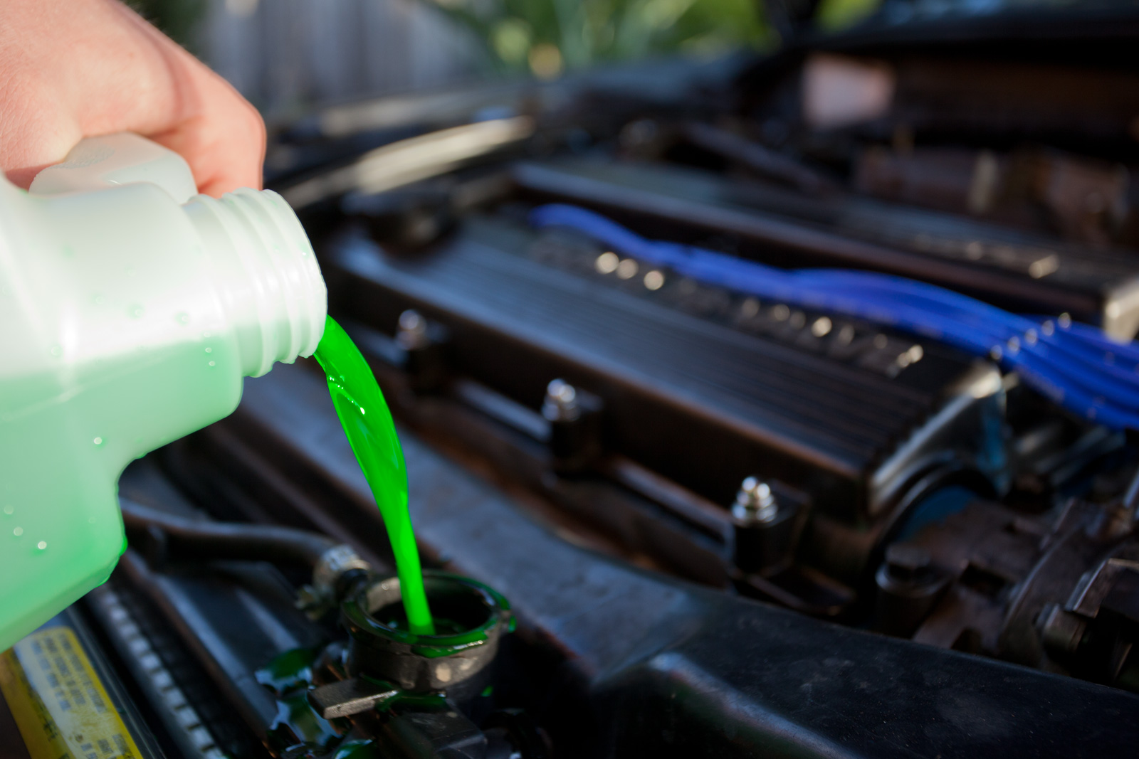antifreeze