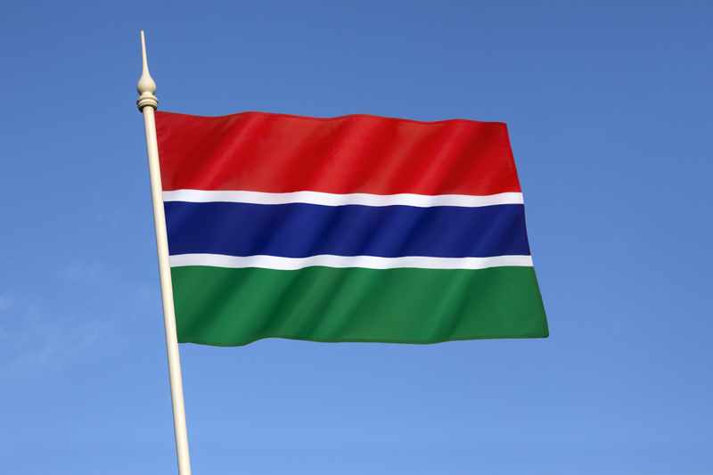 Flag of the Gambia
