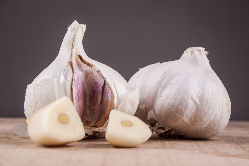 Garlic