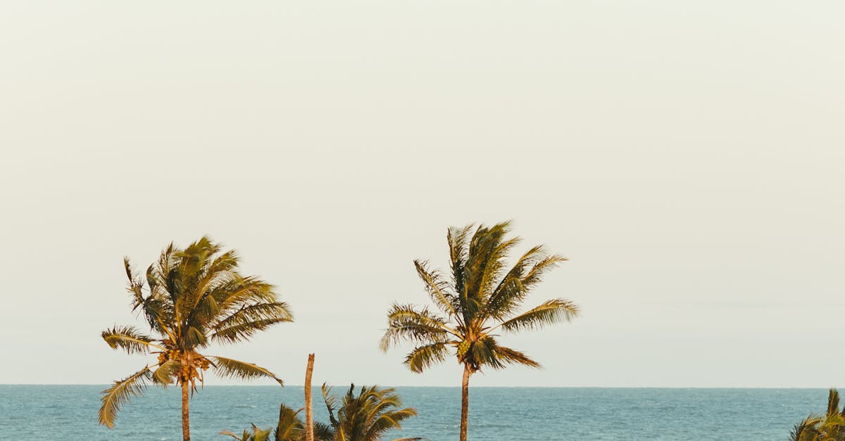 10 Hidden Gem Destinations That Are Actually Better Than Bali