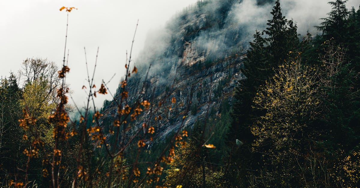 5 Stunning US National Parks That Are Best Visited in Fall (Not Summer)