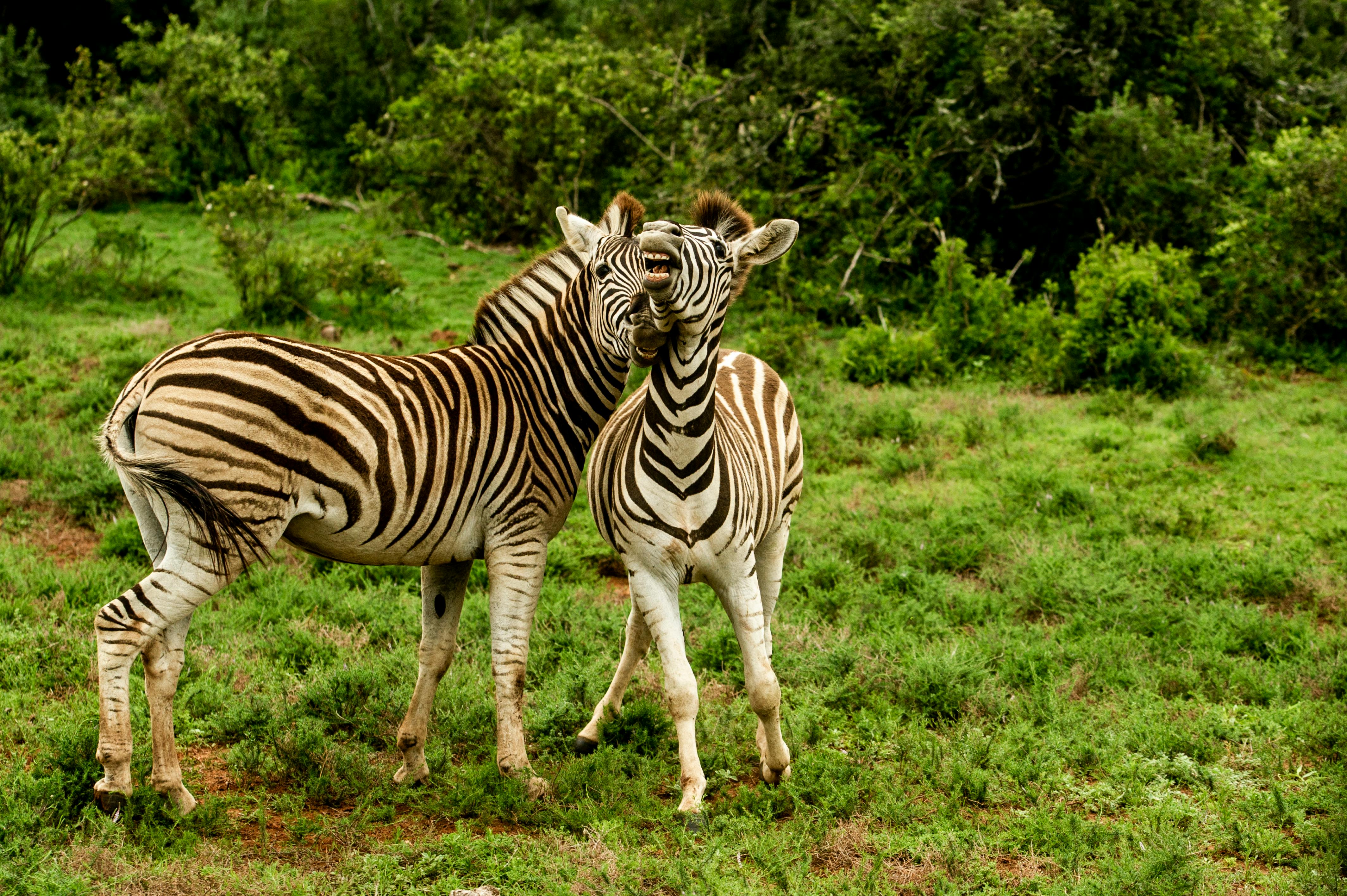 6 Stunning Destinations for the Responsible Traveler