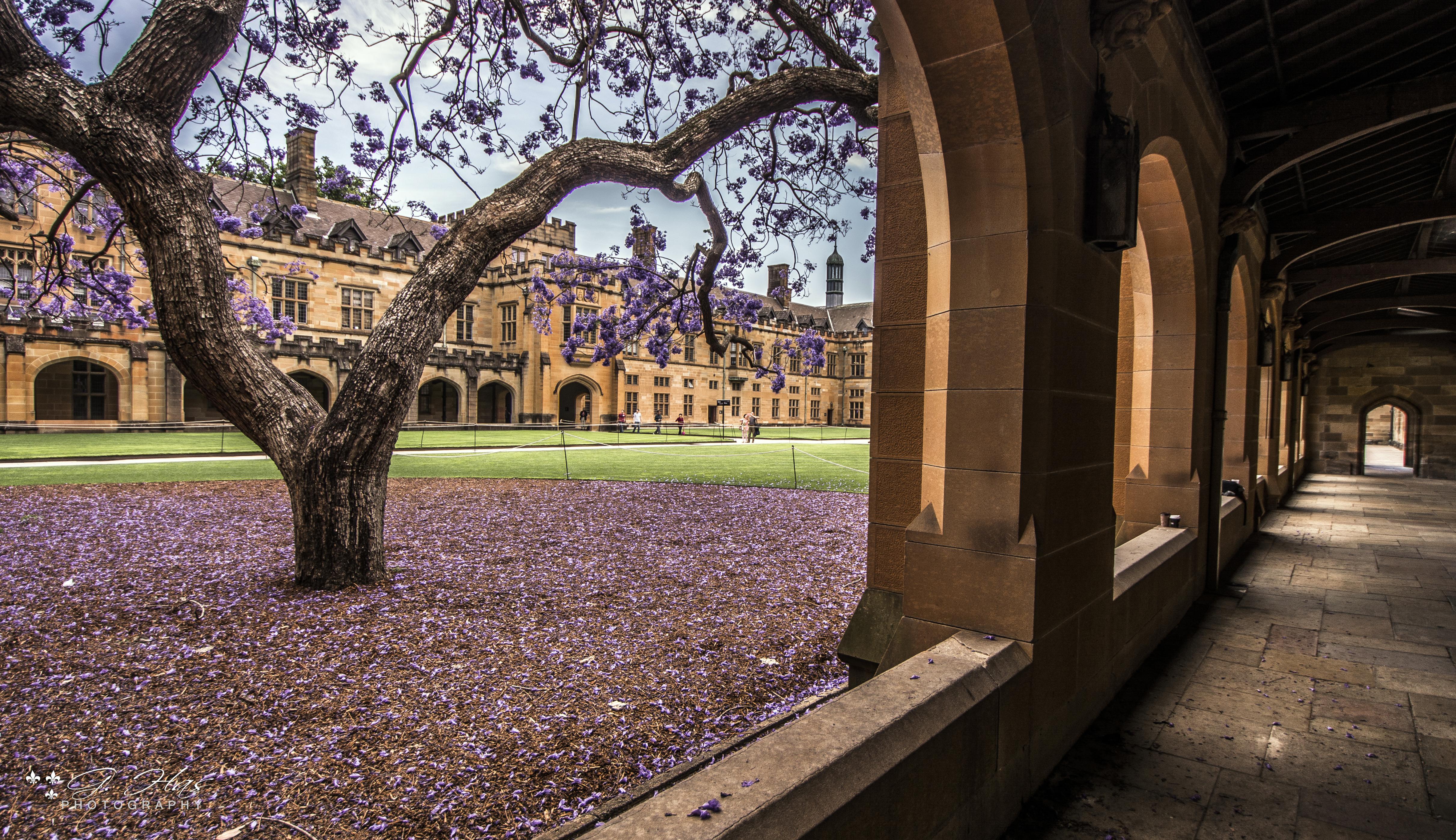 11 Stunning Schools That Rival The Ivy Leagues In Beauty And Brains